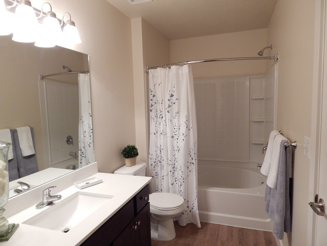 2 BR, 2 BA master bathroom - The Meadows at Park Avenue