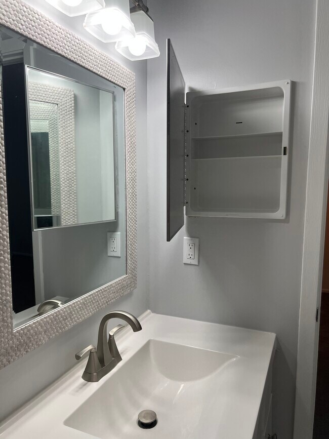 Medicine cabinet for extra storage - 2010 Stoney Run Cir