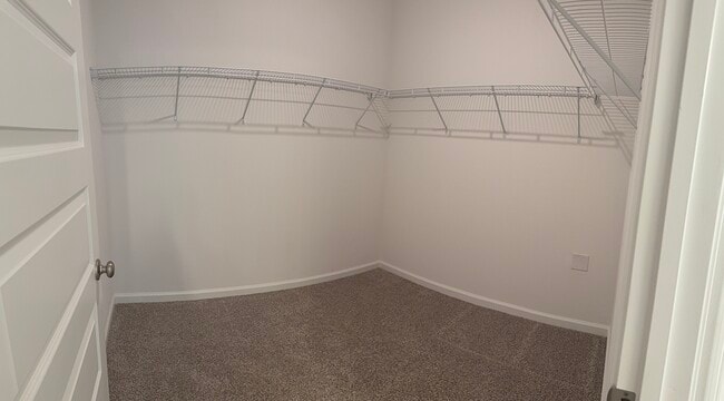 Building Photo - 96 Sweetthorn St