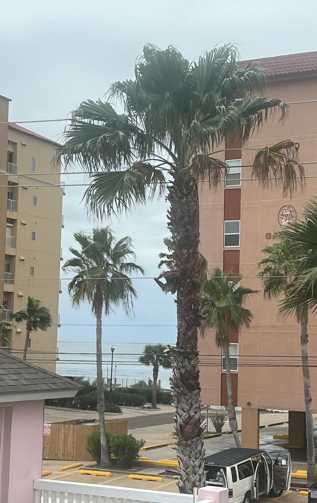 Foto del edificio - 106 W Capricorn Dr