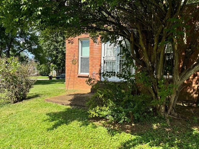 Building Photo - 241 Macfie Dr