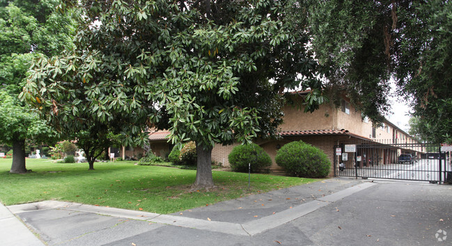Building Photo - Live Oak Plaza