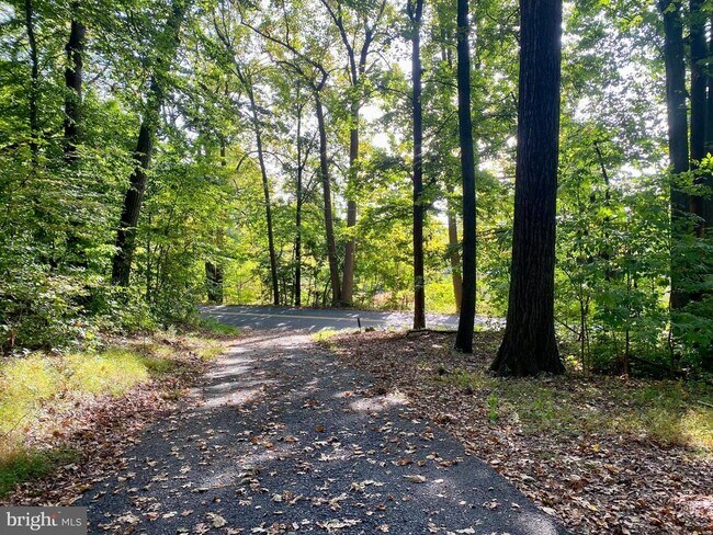 Foto del edificio - 192 Pine Rd