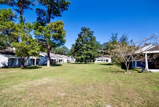 Yard View - 522 Arrow St