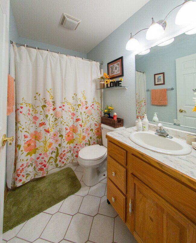 Baño principal - 1017 Autumn Dr
