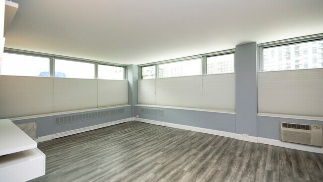 Foto del edificio - 1255 N Sandburg Terrace