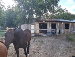 Building Photo - 11115 Pinto Dr