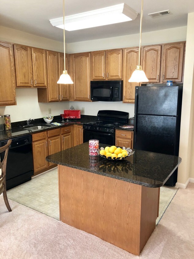 Verena at the Reserve Apartments Williamsburg, VA