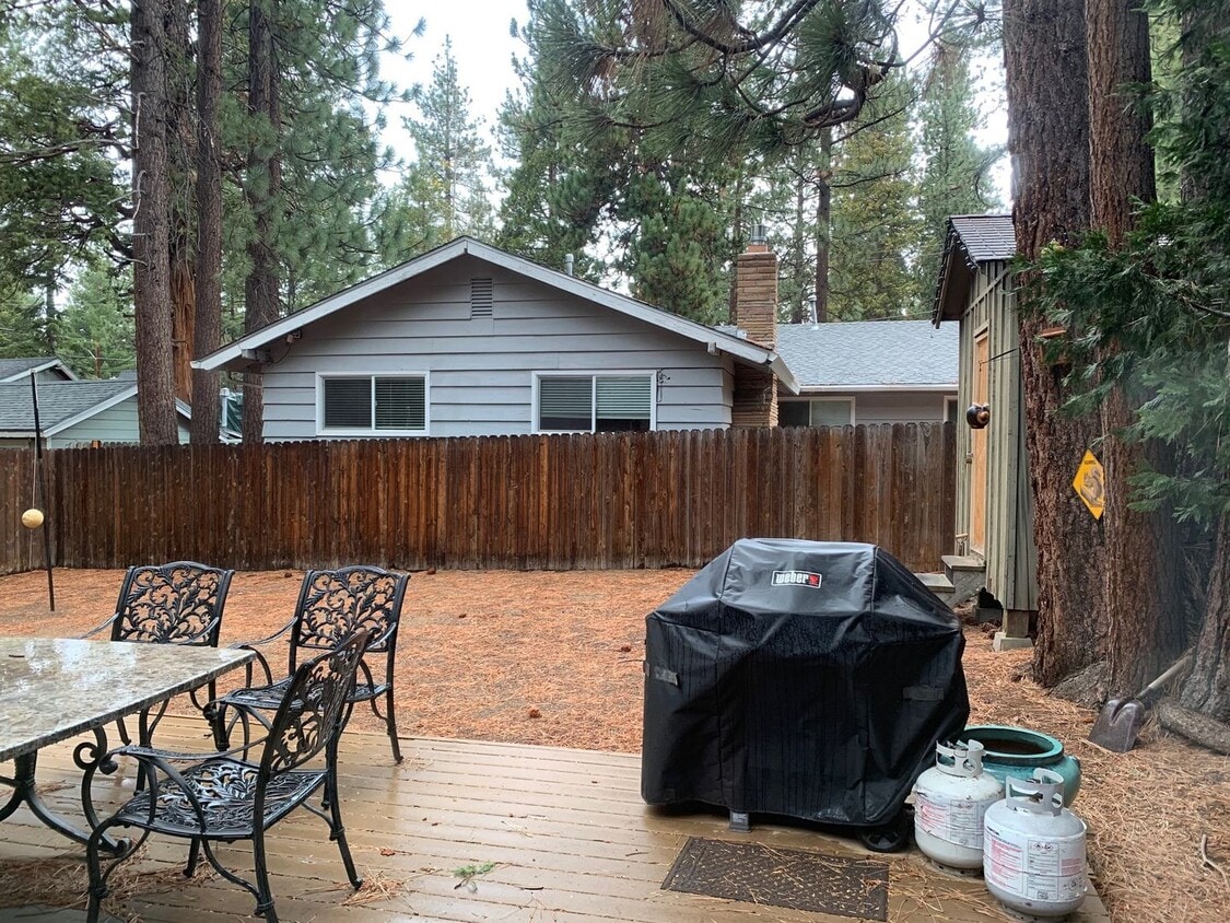 Primary Photo - Cozy Cabin in the Woods