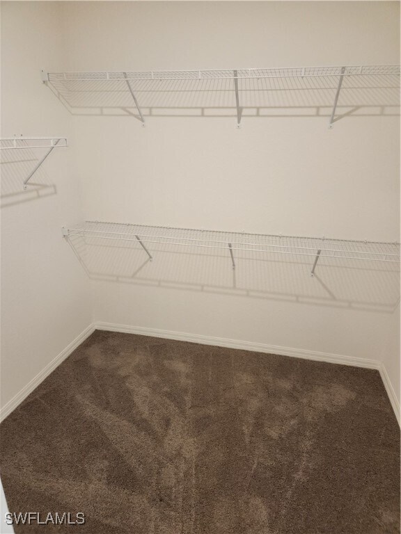 Building Photo - 26013 Ocelot Ln