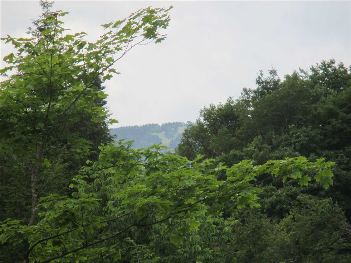 165 High Meadow Rd, Winhall, VT 05155 - House Rental in Winhall, VT