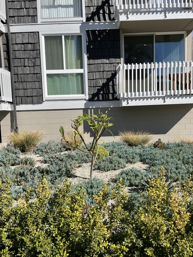 Building Photo - 3750 Jasmine Ave