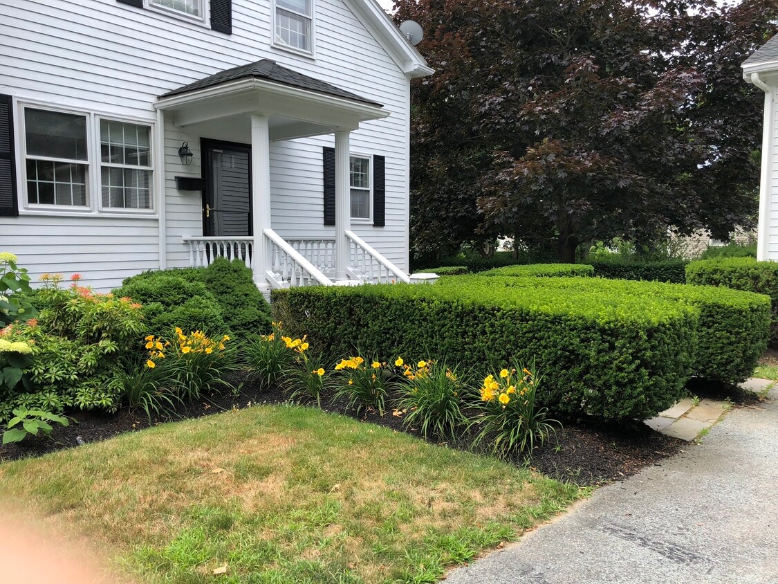 Foto principal - 571 Bellevue Ave