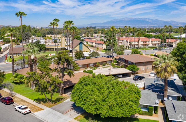 Building Photo - Palm Gardens