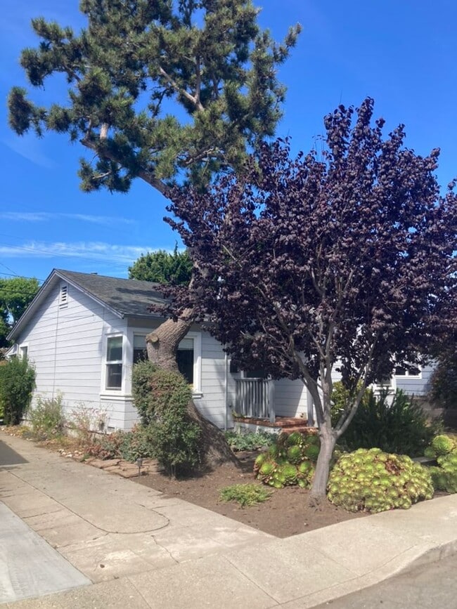 Building Photo - 715 Gilroy Dr