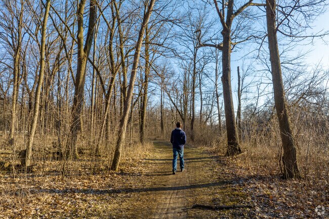 Take a Hike In The Hiking Trails In Potawatomi Woods
