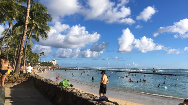 Waikiki Beach - 439 Keoniana St