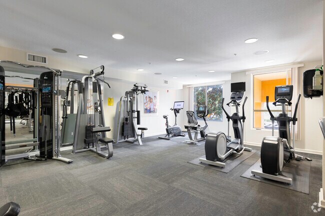 Gimnasio - Dwell Maitland