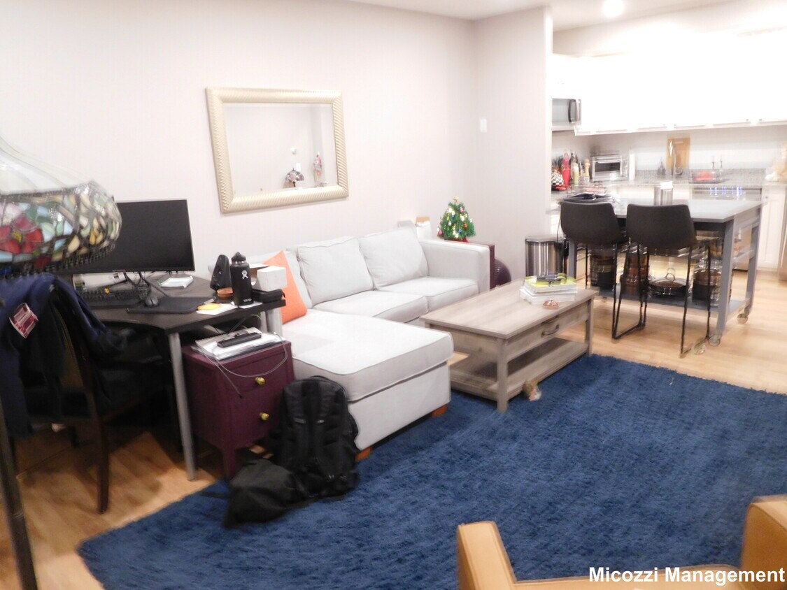 116 Tremont St Unit 1-305-ZX, Boston, MA 02135 - Condo for Rent in