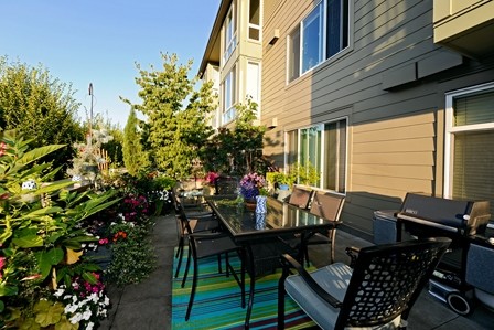 Building Photo - Saxe Apartments - Studio + extra room