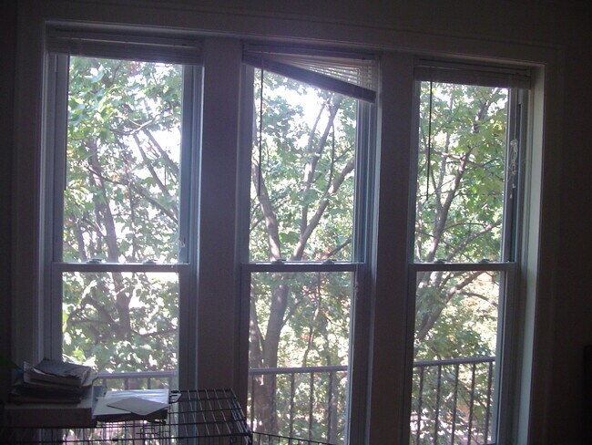 Foto del edificio - 4121 N Wolcott Ave