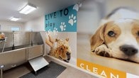 Located at 10343 San Diego Mission Rd in San Diego, CA, this single-floor amenity space is branded under "Bella Pesta" and is designed to serve residents and their pets. The space is divided into two functional zones connected by a cheerful, multicolored striped vinyl floor in shades of teal, yellow, and gray, providing a clean and vibrant aesthetic throughout.

The first zone serves as a bicycle repair and entry area, featuring bright overhead fluorescent lighting, neutral white walls, and a glass-paneled door with an adjacent window that allows natural light to filter in. Signage on the wall outlines bicycle repair guidelines for residents.

The second zone is dedicated to pet care and convenience. It includes a self-serve dog wash station equipped with a stainless steel grooming table and a wall-mounted pet dryer, alongside a stainless steel utility tub with step access. This area is enlivened by a bold, full-wall nature-themed mural featuring warm sunset tones, as well as playful dog-themed graphics with the phrase "Live to Play." Posted "Pup Wash Guidelines" keep the space organized and user-friendly.

Adjacent to the pet wash area, a convenience nook houses a Coca-Cola vending machine and a snack vending machine, adding everyday practicality to the space. The overall environment is clean, well-lit, and purpose-built to support an active, pet-friendly lifestyle.
