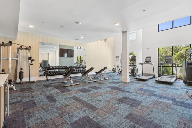 Expansive High-Endurance Fitness Center - Brea Lakewood Ranch