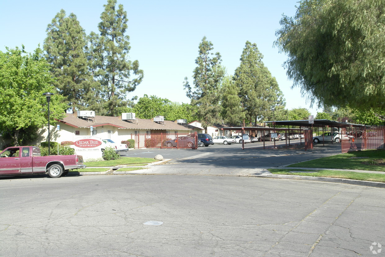 Primary Photo - Cedar Tree Apartments