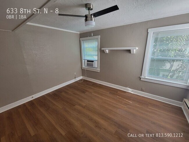 Foto del edificio - Cute St. Pete Studio Apartment