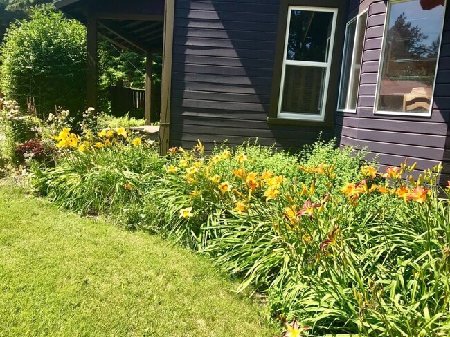 Building Photo - Beautiful Country Home!