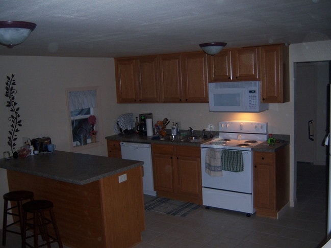Open Kitchen/living area - 1014 Oxford Ave