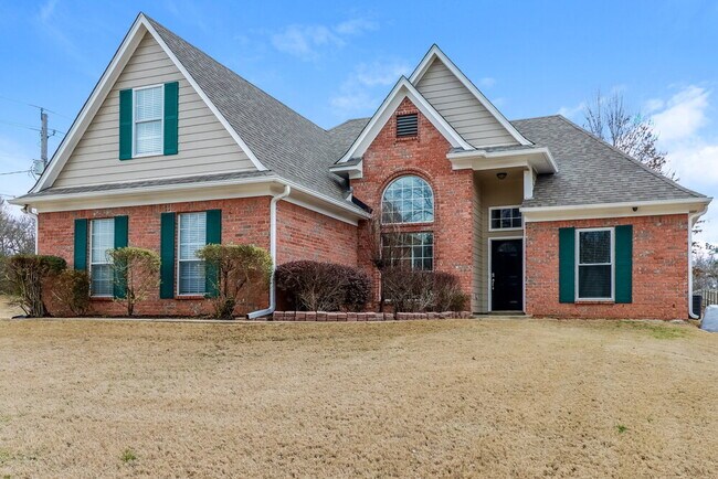 Foto del edificio - 45 Tall Forest Ln