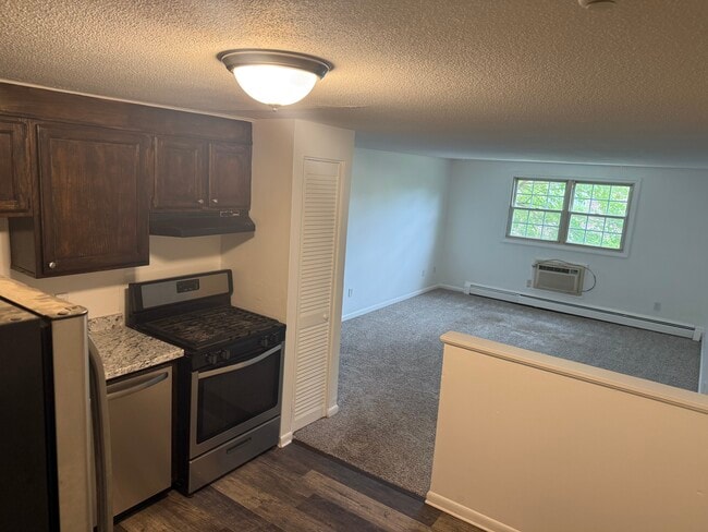 Kitchen/Livingroom - 349 Hildreth St