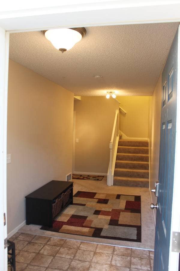 Front entryway, ground floor - 3843 Abercrombie Ln