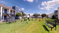 Located at 2301 Windchester St in Pearland, Texas, this single-story unit offers a thoughtfully designed interior complemented by well-maintained community outdoor amenities. The living area immediately draws attention with its soaring vaulted ceilings, which lend an open, airy quality to the space. A tile-surround fireplace with a white mantel serves as a natural focal point, adding warmth and character to the room. Dark hardwood-style flooring runs throughout, providing a rich contrast against the neutral, light-toned walls.

Large windows allow generous natural light to fill the living space, offering views of the surrounding greenery and neighborhood streetscape. The tall windows extend toward the upper portion of the vaulted ceiling in select areas, further enhancing the sense of vertical scale. A staircase with white railings and elegant arched upper windows adds architectural interest, while an in-unit laundry area is conveniently tucked beneath the stairwell.

Outdoors, the property features a well-kept grassy common area enclosed by chain-link fencing, complete with a dedicated dog park equipped with charming pet-themed metal sculptures, benches, and a fire hydrant — ideal for pet owners. The community setting is surrounded by mature trees beneath open Texas skies.