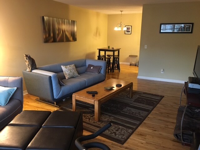 Living room - 3150 Excelsior Blvd