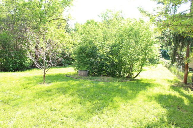 view of yard 6/15/19 from ground floor patio - 321 N Perkins Place