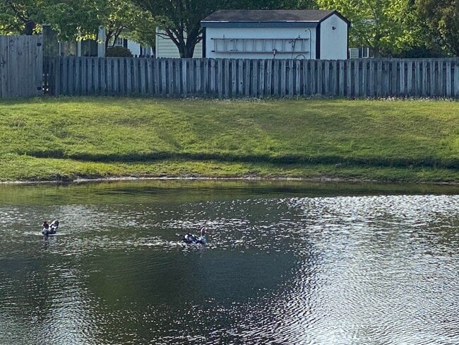 Photo - COMING SOON! North Chase Community! 3 BR/ 2 Bath/ 2 Car garage! Fenced back yard! House