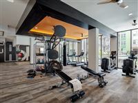 Building Photo - 100 Willard St