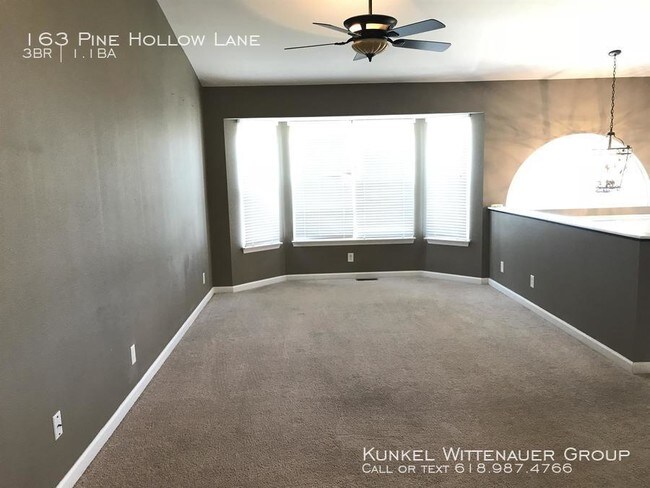 Building Photo - 163 Pine Hollow Ln