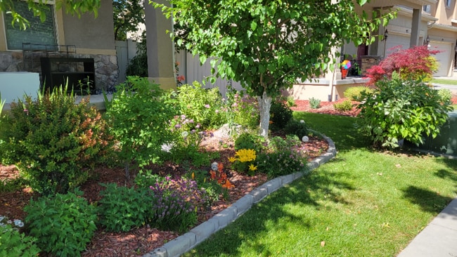 Photo - 807 Whisper Cove Rd House