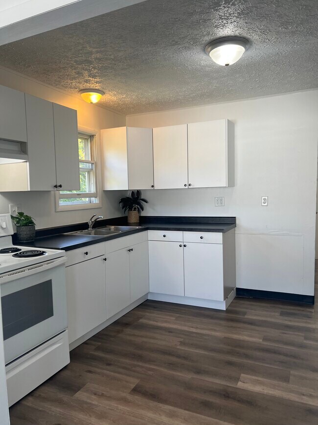 (these are photos of renovated, comparable unit - similar finishes) - 703 E Bullock St