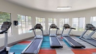 Located at 7131 Alvern St in Los Angeles, CA, this fitness center is a well-equipped, single-story facility designed to support a comprehensive cardio workout experience. The space features a distinctive curved wall lined with large windows that flood the interior with abundant natural light and offer views of the surrounding landscaped outdoor area, creating an inviting and energizing atmosphere.

The flooring throughout is a combination of neutral gray wood-look planks accented by vibrant multi-colored carpet tile insets in teal, red, and orange, adding a modern, dynamic visual element to the space. The ceilings are smooth and white, contributing to the open, airy feel of the room.

The fitness center is outfitted with Matrix brand cardio equipment, including three treadmills positioned along the curved window wall, multiple elliptical cross-trainers, and a recumbent stationary bike. A large floor-to-ceiling mirror along one wall visually expands the space and allows users to monitor their form during workouts. Glass doors mark the entrance, where posted fitness center rules are prominently displayed. Overhead lighting supplements the natural light, ensuring the space remains well-lit throughout the day.