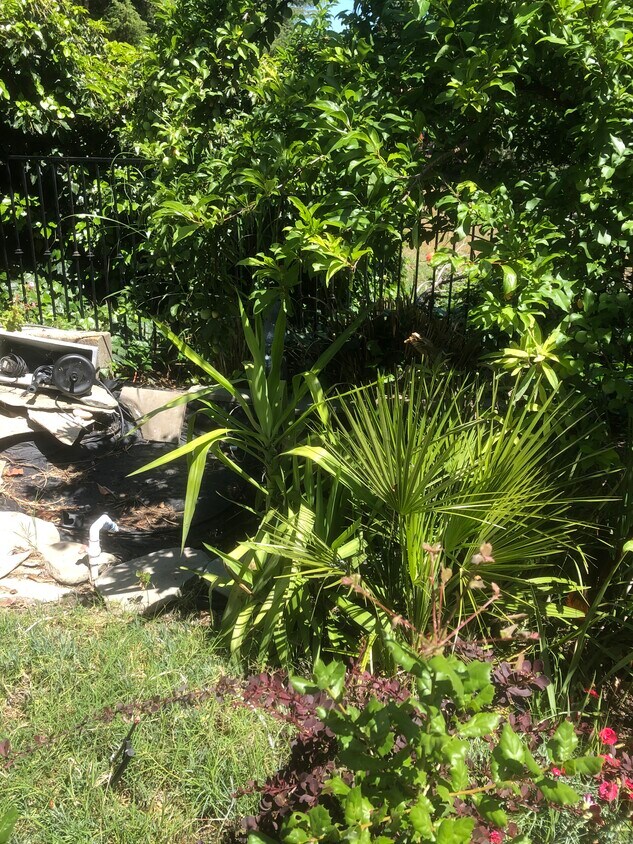 Foto principal - 3829 Canyon Way