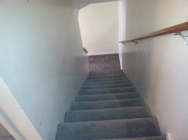 Downstairs - 978 S Live Oak Dr