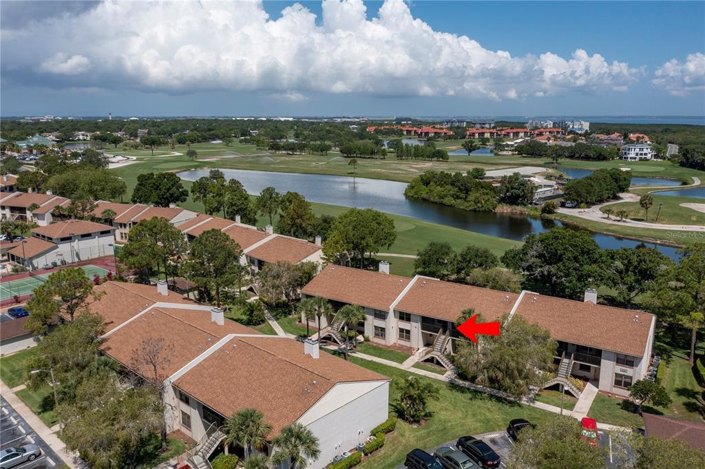 1933 Oyster Catcher Ln Unit 723, Clearwater, FL 33762 Condo for Rent