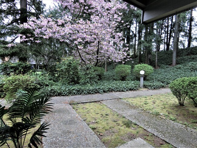 Face view - 13759 NE 69th St