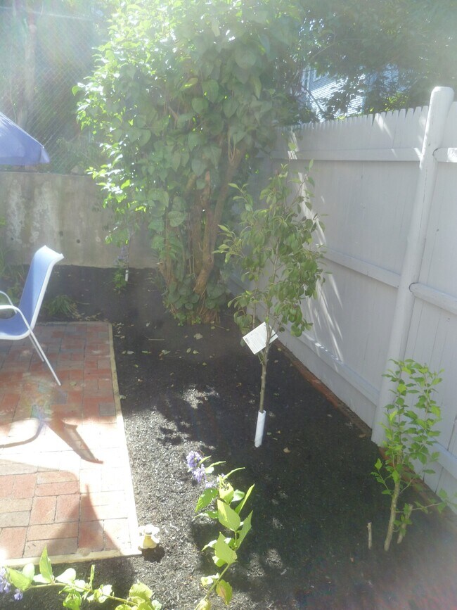 Foto del edificio - 54 Hobson St