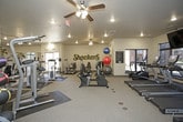 This fitness center offers a comprehensive workout environment spread across a single-floor layout divided into distinct cardio and strength training zones. The cardio area is lined with a row of True-brand treadmills and elliptical machines positioned along large windows that allow natural light to fill the space and provide views of the surrounding exterior. Two large wall-mounted flat-screen televisions are suspended above the cardio equipment, providing entertainment during workouts. A stationary bike and a rack of stability balls in multiple sizes round out the cardio section, complemented by motivational wall lettering encouraging daily effort.

The strength training zone features a diverse array of cable machines, weight benches, and multi-function resistance stations arranged across rubber floor mats. Large mirrors line one wall, enhancing the sense of space and allowing users to monitor form. Ceiling fans provide additional air circulation throughout this section, and recessed lighting keeps the area well-lit. The space is branded with Wichita State University "Shockers" and "WSU" graphics, giving the fitness center a spirited, collegiate identity. An exterior door in the strength area adds convenience and additional ventilation.