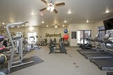 This fitness center offers a comprehensive workout environment spread across a single-floor layout divided into distinct cardio and strength training zones. The cardio area is lined with a row of True-brand treadmills and elliptical machines positioned along large windows that allow natural light to fill the space and provide views of the surrounding exterior. Two large wall-mounted flat-screen televisions are suspended above the cardio equipment, providing entertainment during workouts. A stationary bike and a rack of stability balls in multiple sizes round out the cardio section, complemented by motivational wall lettering encouraging daily effort.

The strength training zone features a diverse array of cable machines, weight benches, and multi-function resistance stations arranged across rubber floor mats. Large mirrors line one wall, enhancing the sense of space and allowing users to monitor form. Ceiling fans provide additional air circulation throughout this section, and recessed lighting keeps the area well-lit. The space is branded with Wichita State University "Shockers" and "WSU" graphics, giving the fitness center a spirited, collegiate identity. An exterior door in the strength area adds convenience and additional ventilation.